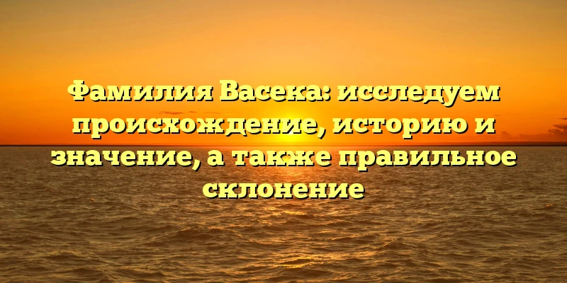 Фамилия Васека: исследуем происхождение, историю и значение, а также правильное склонение Фамилия Васека: исследуем происхождение, историю и значение, а также правильное склонение