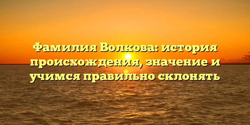 Фамилия Волкова: история происхождения, значение и учимся правильно склонять