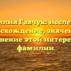 Фамилия Гавчук: исследуем происхождение, значения и склонение этой интересной фамилии