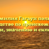 Фамилия Гагауз: полное руководство по происхождению, истории, значению и склонению