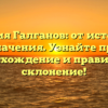 Фамилия Галганов: от истории до значения. Узнайте про происхождение и правильное склонение!