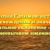 Фамилия Галимов: история происхождения и значения, правильное склонение — все о необычном именно