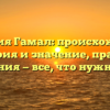 Фамилия Гамал: происхождение, история и значение, правила склонения — все, что нужно знать