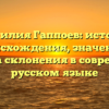 Фамилия Гаппоев: история происхождения, значение и правила склонения в современном русском языке