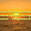 Фамилия Гвинджилия: все о происхождении, истории и склонении — подробный обзор