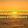 Фамилия Гелиш: исследование происхождения, значения и склонения этого редкого имени