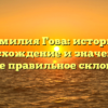 Фамилия Гова: история, происхождение и значение, а также правильное склонение