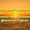 Фамилия Горьев: происхождение, история и склонение. Узнайте значение захватывающей фамилии Горьев.
