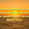 Фамилия Гудова: история, происхождение и значения, а также правильное склонение фамилии