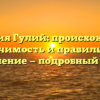 Фамилия Гулий: происхождение, значимость и правильное склонение — подробный обзор