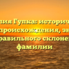 Фамилия Гупка: исторический разбор происхождения, значения и правильного склонения фамилии