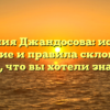 Фамилия Джандосова: история, значение и правила склонения – все, что вы хотели знать!