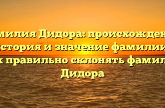 Фамилия Дидора: происхождение, история и значение фамилии | Как правильно склонять фамилию Дидора Фамилия Дидора: происхождение, история и значение фамилии | Как правильно склонять фамилию Дидора