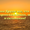 Фамилия Друпп: все, что нужно знать о происхождении, значении и склонении!