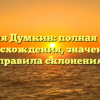 Фамилия Думкин: полная история происхождения, значения и правила склонения