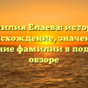 Фамилия Елаева: история, происхождение, значение и склонение фамилии в подробном обзоре