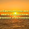 Фамилия Емельянчик: все, что вам нужно знать о происхождении, значении и склонении!