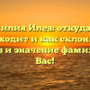 Фамилия Илеа: откуда она происходит и как склоняется? История и значение фамилии для Вас!