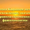 Фамилия Кадышев: история происхождения, значения и правила склонения в фамилиологии