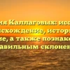 Фамилия Каллаговых: исследуем происхождение, историю и значение, а также познакомимся со правильным склонением!
