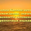 Фамилия Каллен: история происхождения, значение и особенности склонения в различных языках