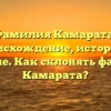 Фамилия Камарата: происхождение, история и значение. Как склонять фамилию Камарата?