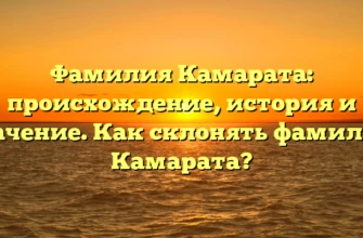 Фамилия Камарата: происхождение, история и значение. Как склонять фамилию Камарата? Фамилия Камарата: происхождение, история и значение. Как склонять фамилию Камарата?