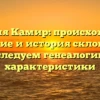 Фамилия Камир: происхождение, значение и история склонения – исследуем генеалогию и характеристики
