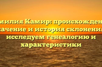 Фамилия Камир: происхождение, значение и история склонения – исследуем генеалогию и характеристики Фамилия Камир: происхождение, значение и история склонения – исследуем генеалогию и характеристики
