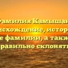 Фамилия Камышан: происхождение, история и значение фамилии, а также как ее правильно склонять!