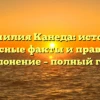 Фамилия Канеда: истоки, интересные факты и правильное склонение – полный гид