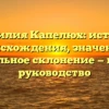 Фамилия Капелюх: история происхождения, значение и правильное склонение — полное руководство