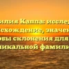 Фамилия Каппа: исследуем происхождение, значение и способы склонения для этой уникальной фамилии