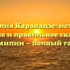 Фамилия Каранадзе: история, значение и правильное склонение фамилии — полный гайд