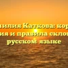 Фамилия Каткова: корни, значения и правила склонения в русском языке