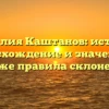 Фамилия Каштанов: история, происхождение и значение, а также правила склонения