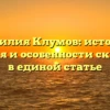 Фамилия Клумов: история, значения и особенности склонения в единой статье