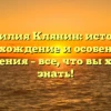 Фамилия Клянин: история, происхождение и особенности склонения – все, что вы хотели знать!