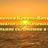 Фамилия Коваль-Волков: генеалогия, значения и правильное склонение в статье