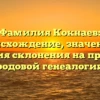 Фамилия Кокнаев: происхождение, значение и история склонения на примере родовой генеалогии