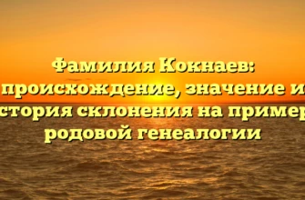 Фамилия Кокнаев: происхождение, значение и история склонения на примере родовой генеалогии