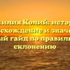 Фамилия Колий: история, происхождение и значение, полный гайд по правильному склонению