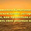 Фамилия Колотилин: происхождение, история и значение, как правильно склонять и узнать свои родовые корни.