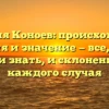 Фамилия Коноев: происхождение, история и значение — все, что вы хотели знать, и склонение для каждого случая
