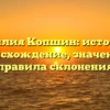 Фамилия Копшин: история и происхождение, значение и правила склонения