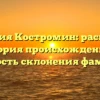 Фамилия Костромин: раскрытая история происхождения и важность склонения фамилии