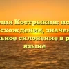 Фамилия Кострыкин: история происхождения, значение и правильное склонение в русском языке