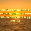 Фамилия Кострыкина: история происхождения, значение и правила склонения в русском языке