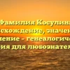 Фамилия Косулин: происхождение, значение и склонение – генеалогическая история для любознательных