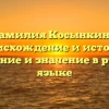 Фамилия Косынкина: происхождение и история, склонение и значение в русском языке